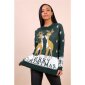 Trendy womens knitted sweater Christmas green